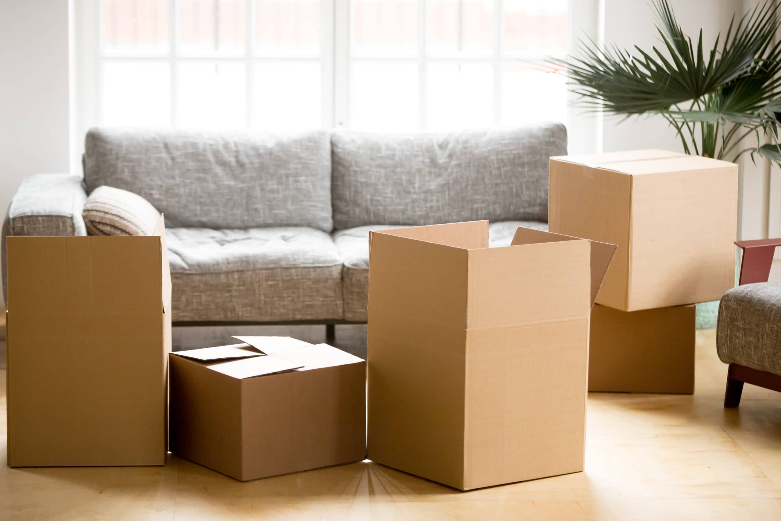 Just Bought a House and Need to Move? Steps You Can't Ignore | HomeGo